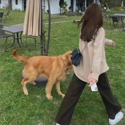 生命尽头的美好时光