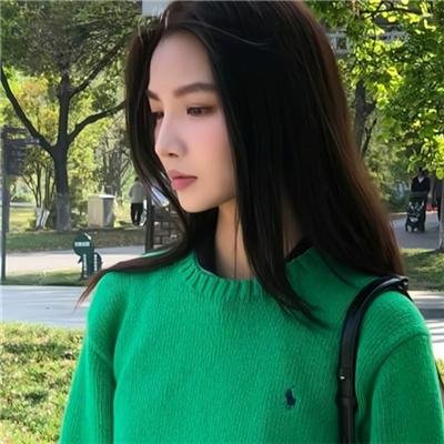 驯龙宝典